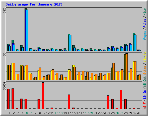 Daily usage for January 2013