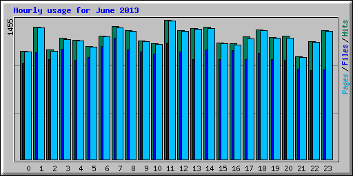 Hourly usage for June 2013